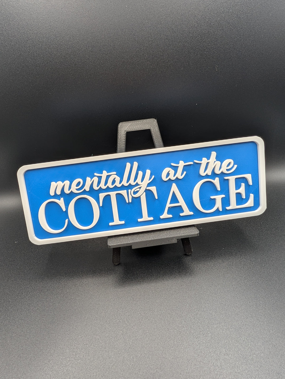 Blue Mentally at the Cottage Street Sign