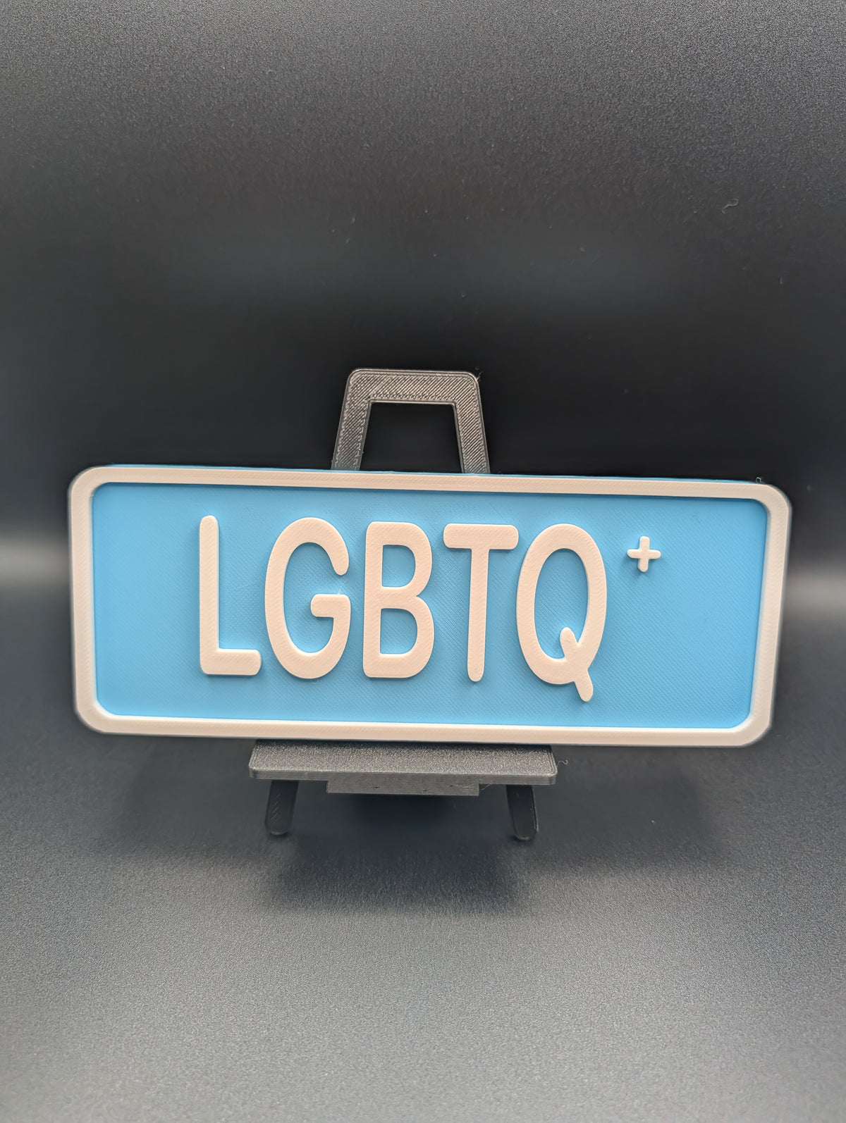 LGTBQ+ Street Sign Shelf Decor