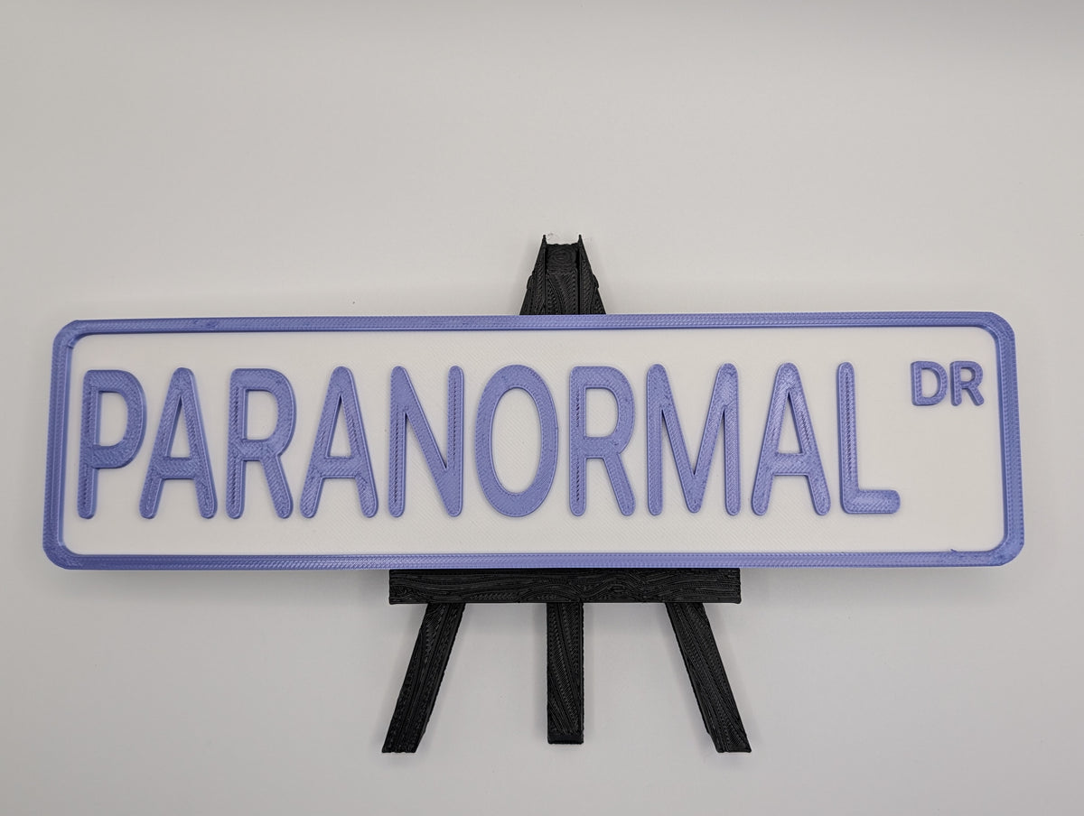 Paranormal Street Sign Shelf Decor